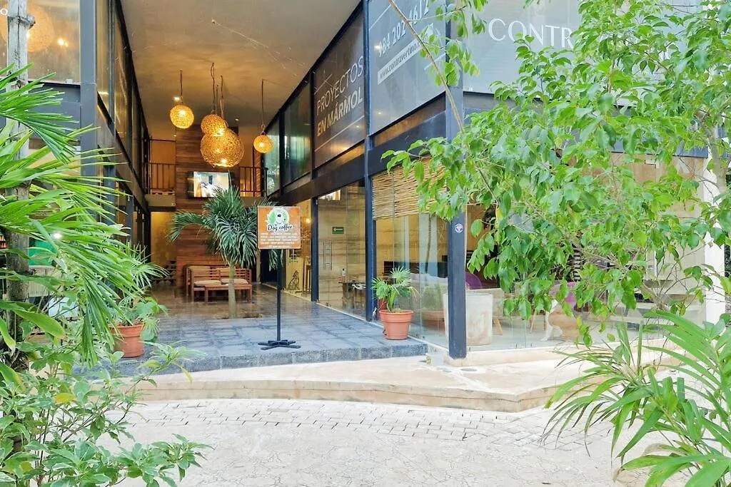 Eco-Friendly And Modern Loft 4 By Noox Apartment Tulum